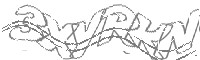 Check code